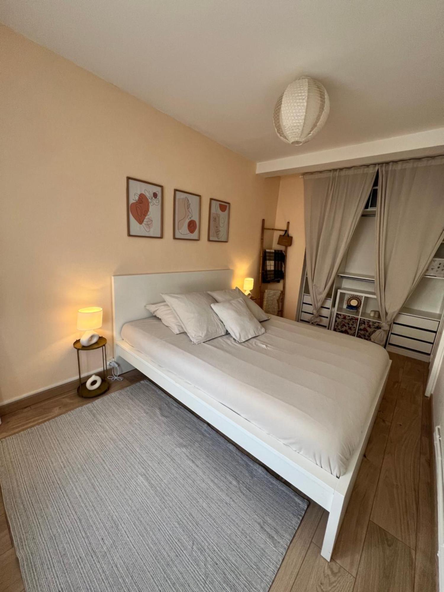 Le Bellevue - T3 - Gare & Les Jardins Darcy - Parking Free Apartment Dijon Ngoại thất bức ảnh